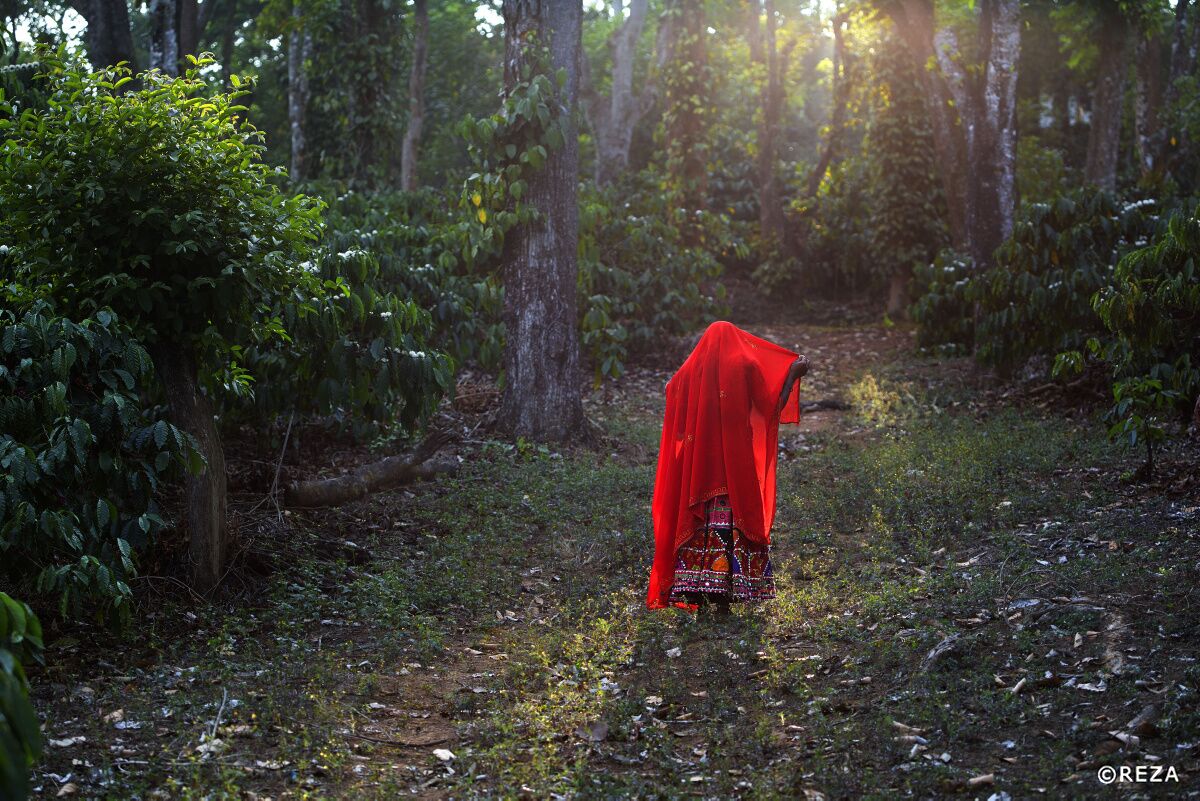 A night of celebration